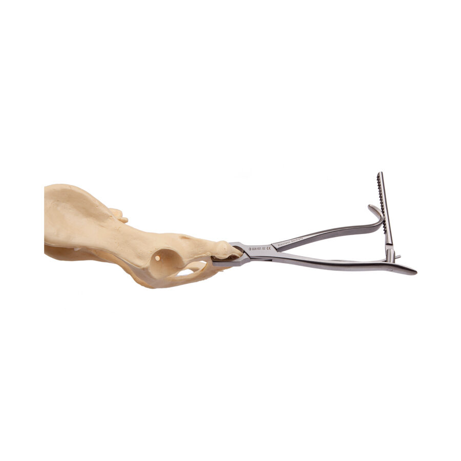 KERN Bone Holding Forceps