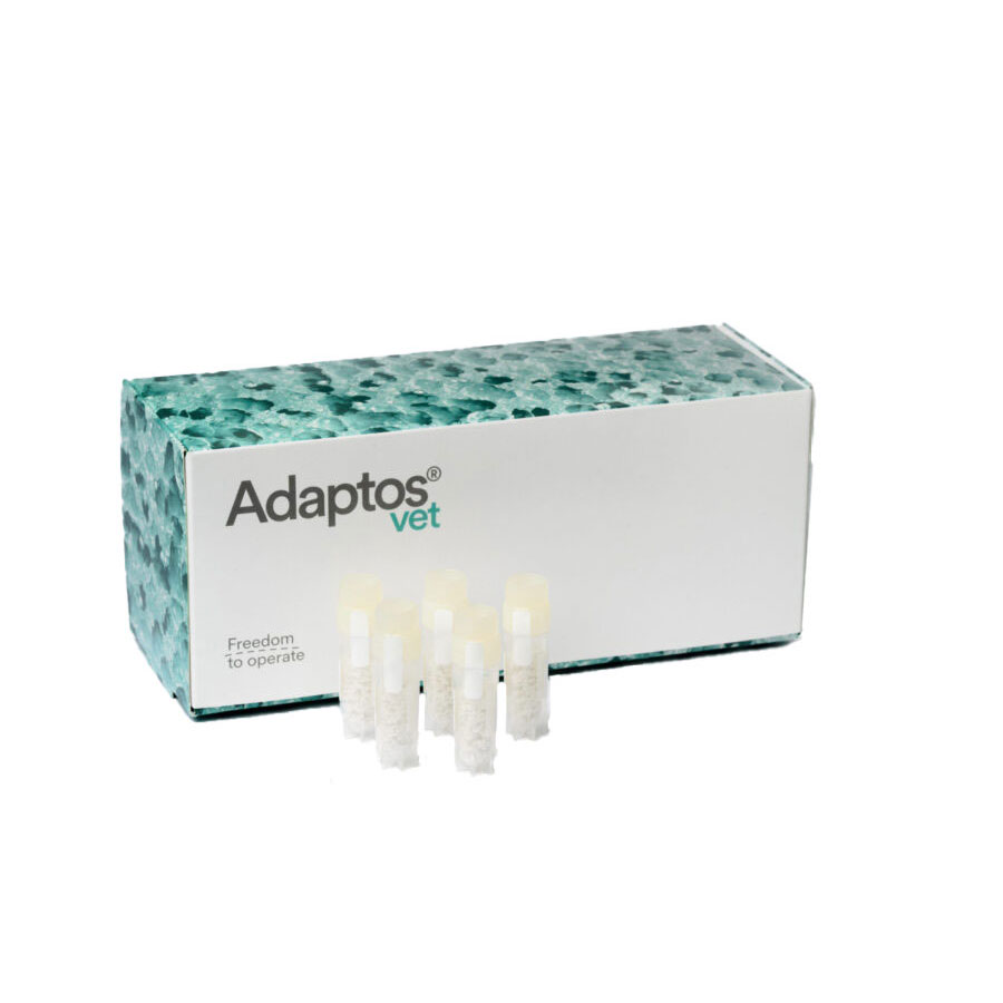 Bone Craft Subtitutes