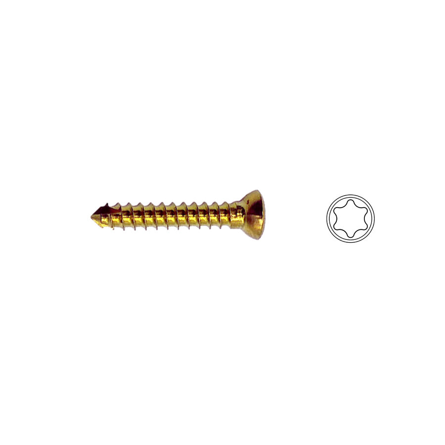 2.0mm Titanium Cortex Screw Self-tapping T6