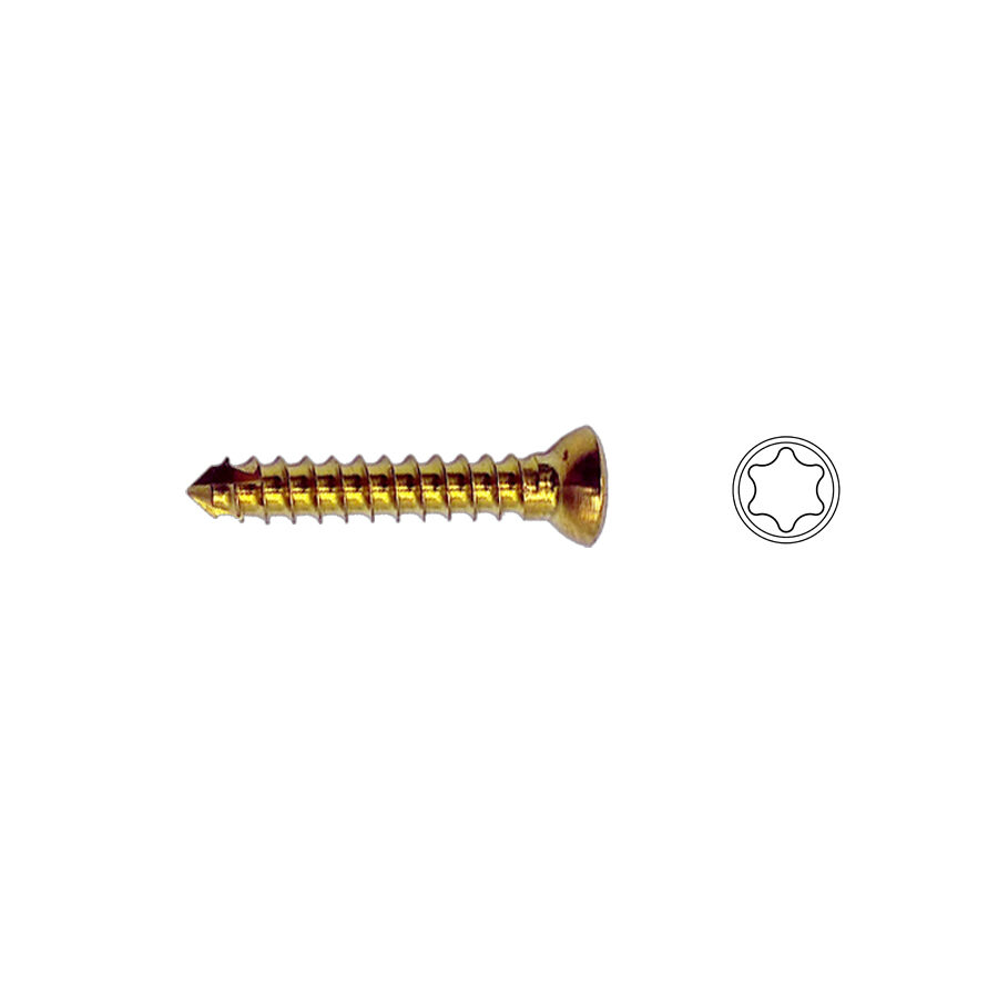 2.4mm Titanium Cortex Screw Self-tapping T8