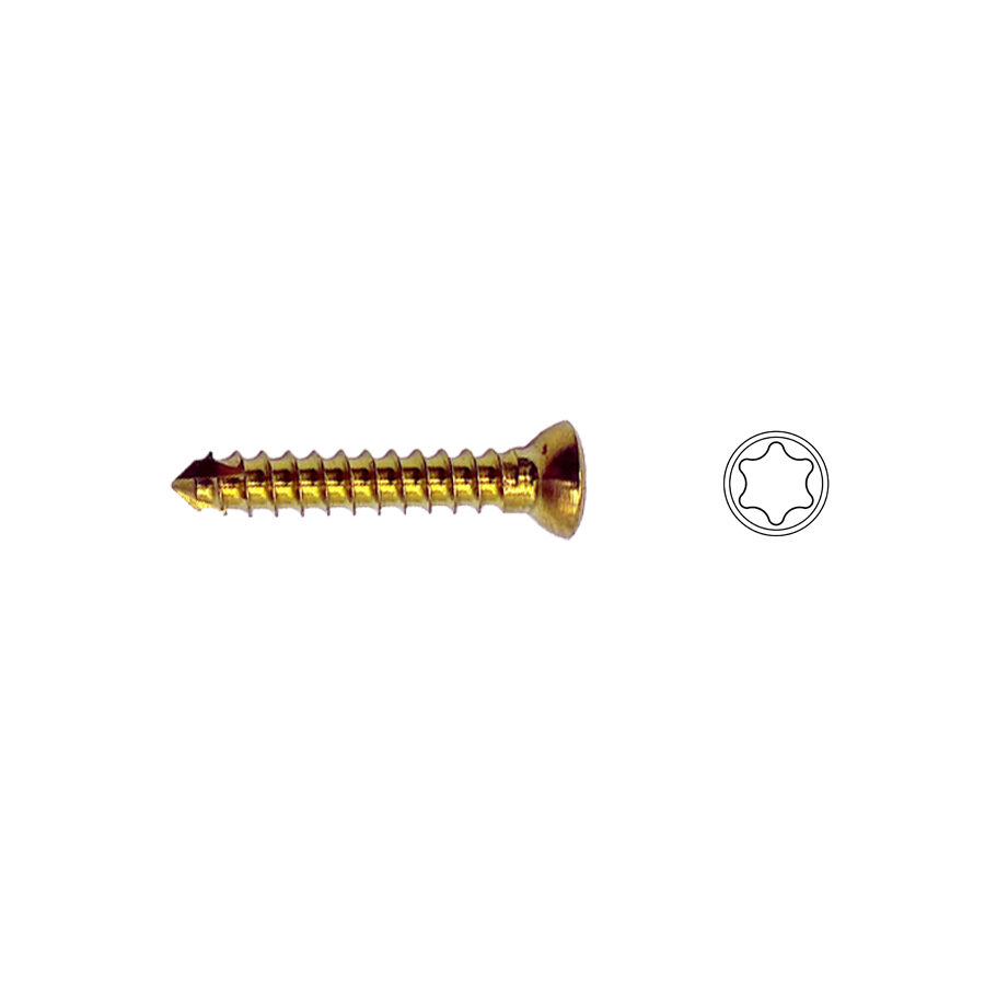 2.7mm Titanium Cortex Screw Self-tapping T10