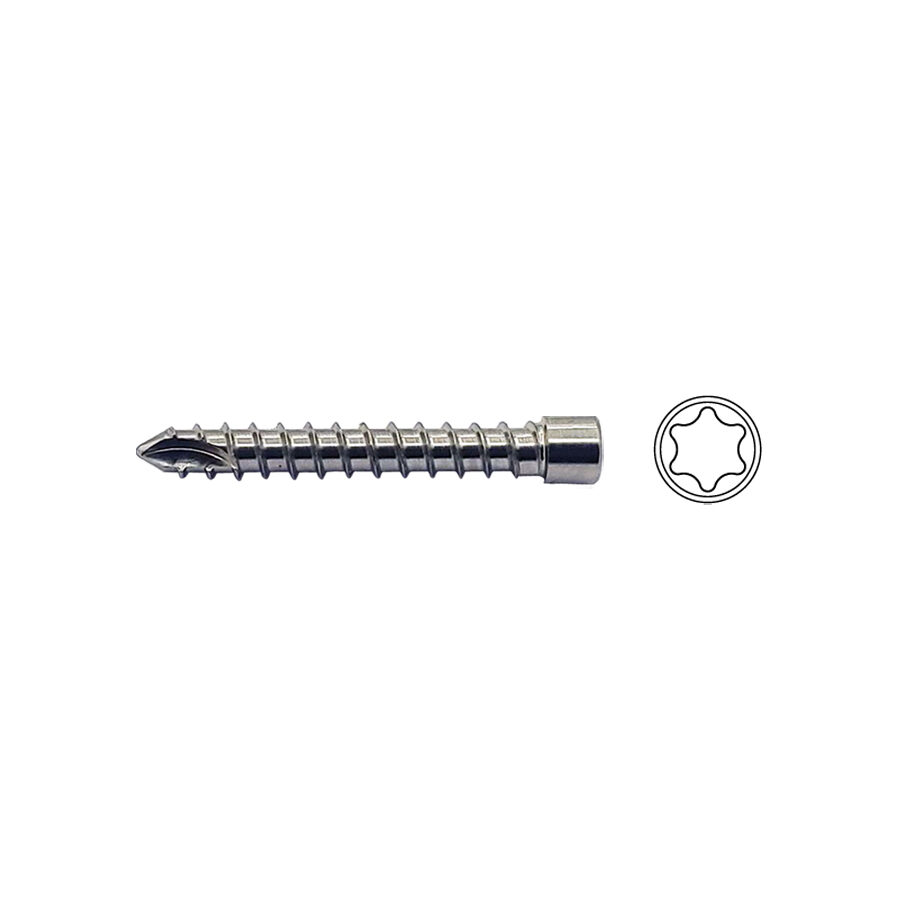 2.5mm FKS Locking Screw T8