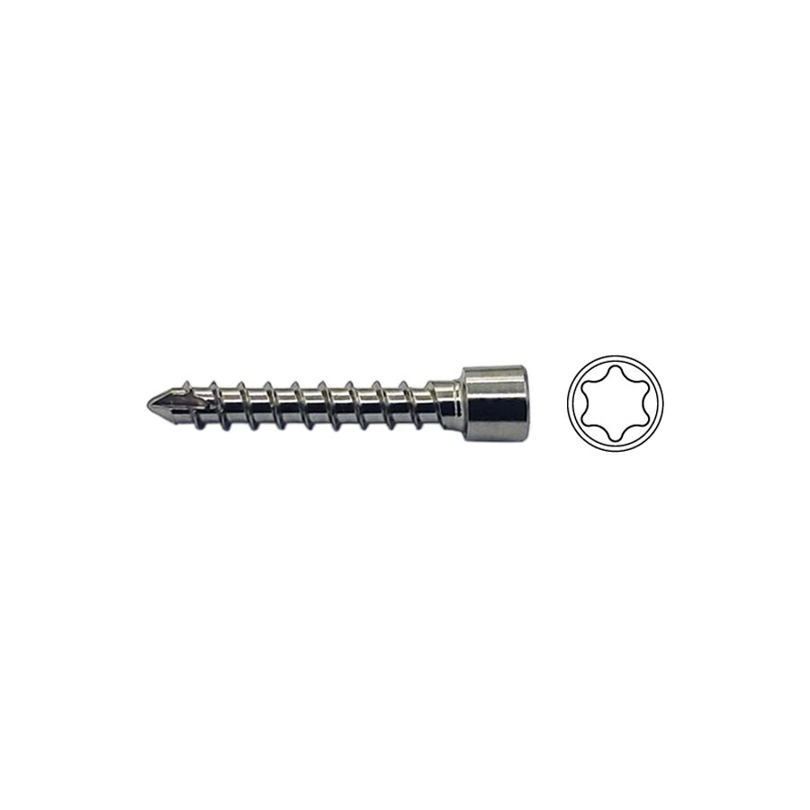 3.0mm FKS Locking Screw T10