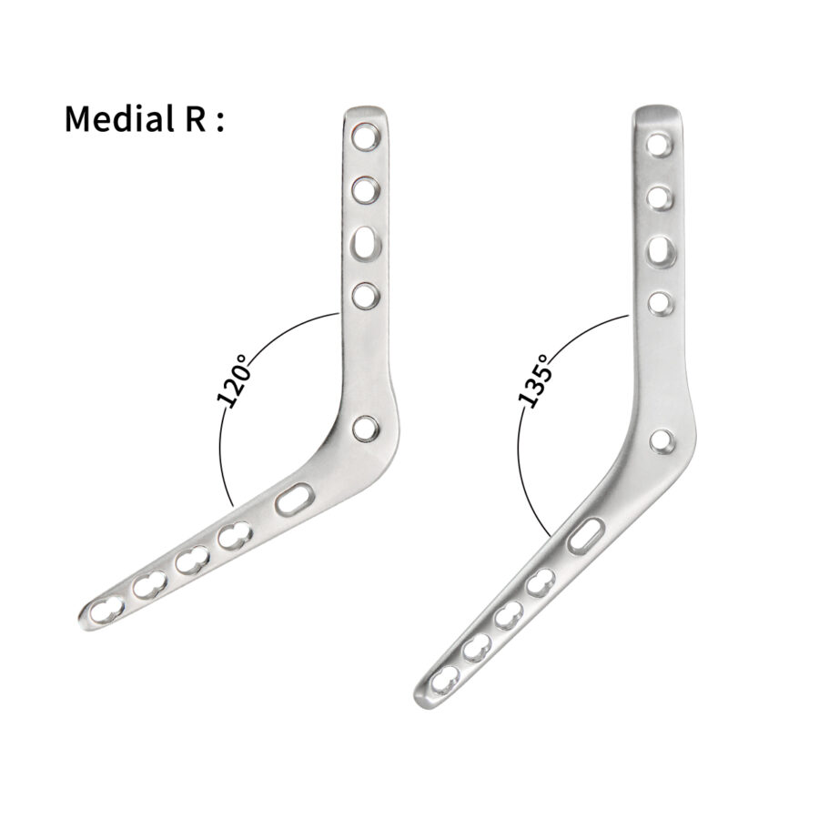 Pantarsal Arthrodesis Locking Plate